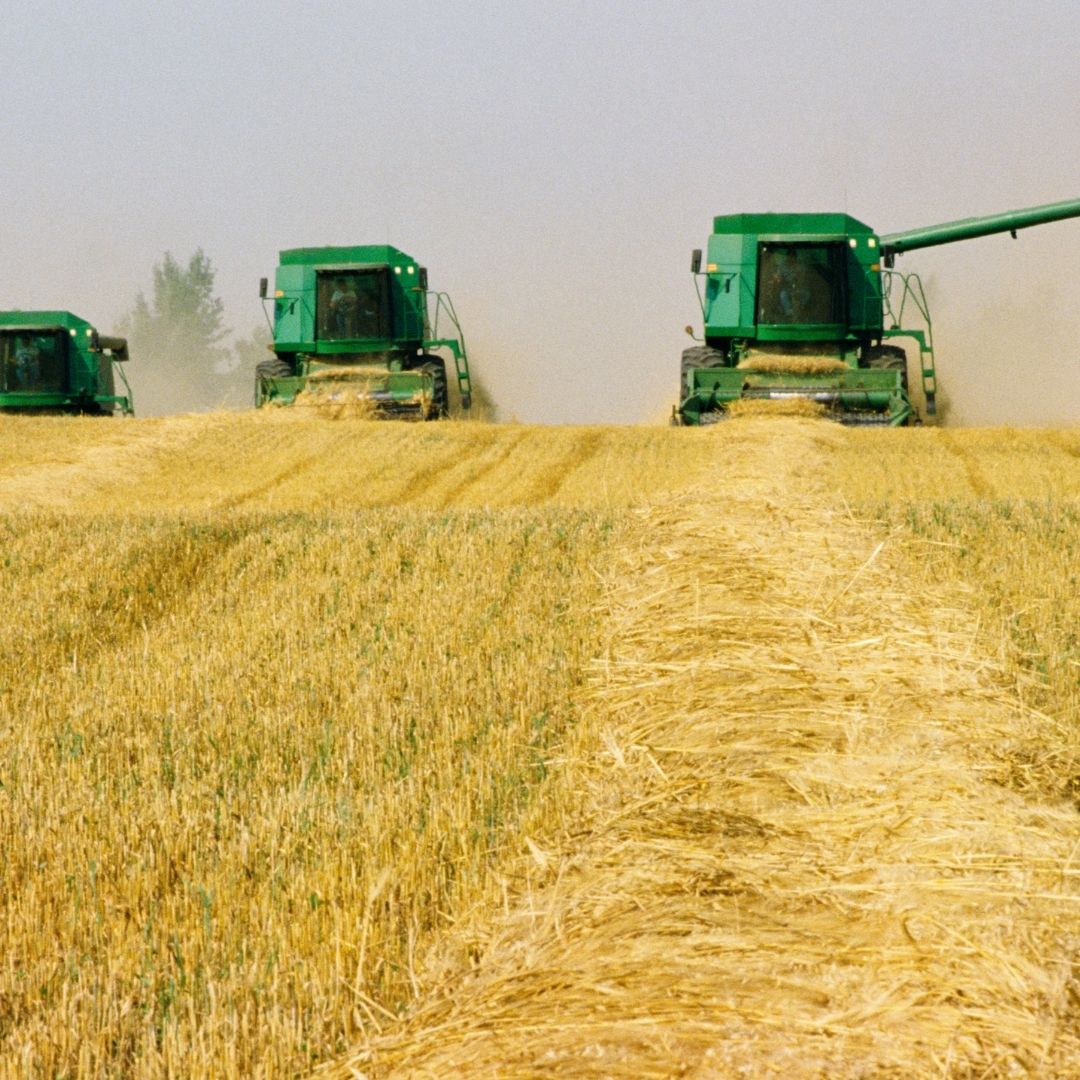 Goiás está entre os estados que mais produz grãos no Brasil