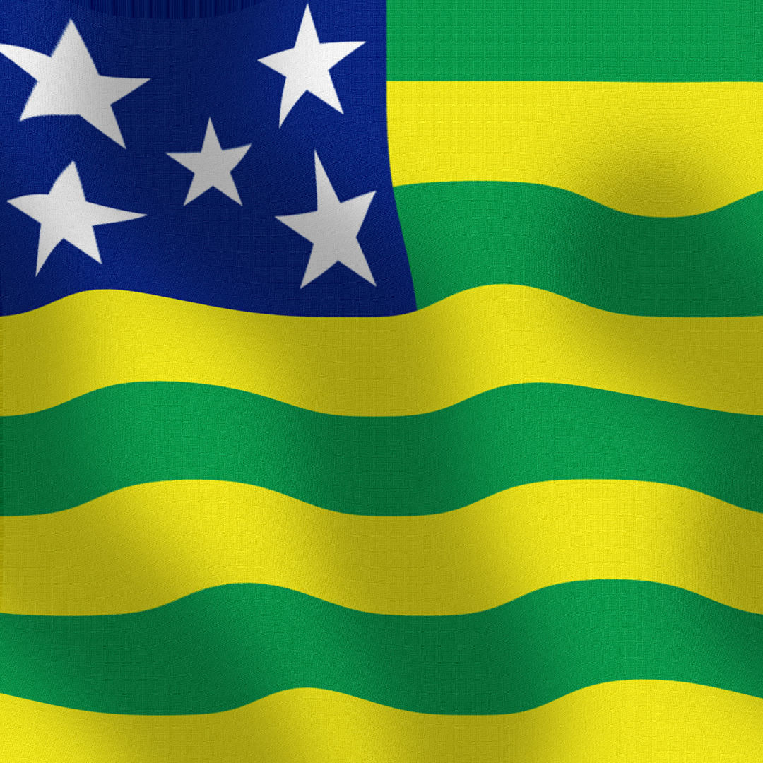 Bandeira de Goiás: cores que contam nossa história